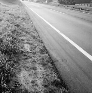 Mord an Brigitte Wetzenstein-Ollenschläger: Bundesautobahn A 1 bei Reinfeld: Leichenfundort im Graben neben Seitenstreifen am 19. August 1972: Reifenspuren im Gras und auf der Fahrbahn