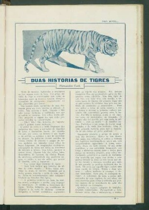 Duas histórias de tigres