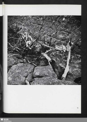 Requiem (Steine und Zweige)