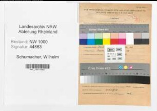Entnazifizierung Wilhelm Schumacher, geb. 04.04.1914 (Arzt)