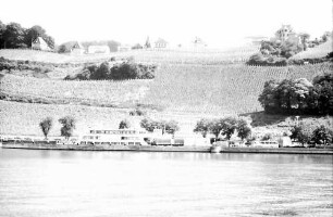 Meersburg: Weinberge über dem Fährhafen