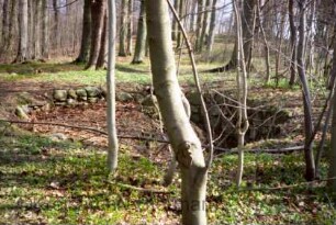 Emkendorf (Kreis Rendsburg-Eckernförde): Eiskeller: Überreste: Blick auf Trichter