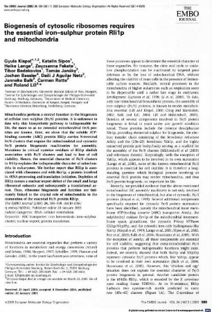 Biogenesis of cytosolic ribosomes requires the essential iron-sulphur protein Rli1p and mitochondria