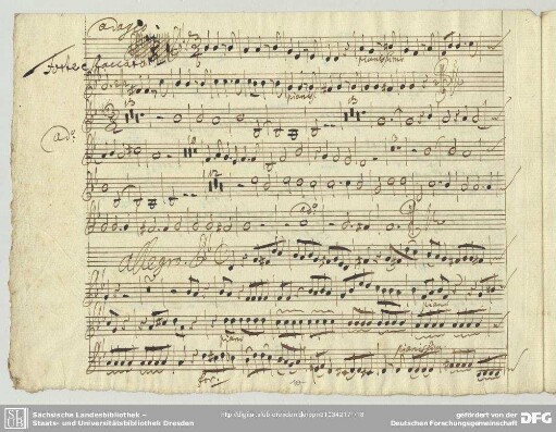 Concerti grossi, HWV 312 <2. Adagio>