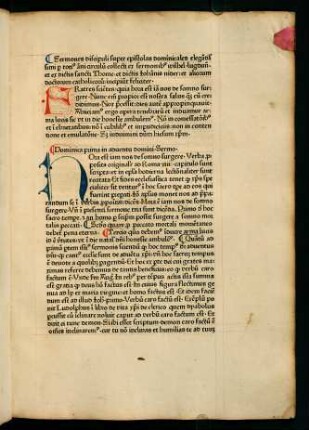 Sermones discipuli super epistolas dominicales...
