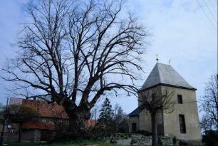 Blick auf die Kirche, von der nur noch der Turm steht; Grundmauern Langhaus erhalten; Gerichtslinde