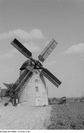 Blick auf eine Windmühle