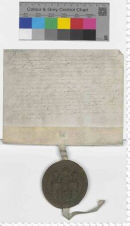 Bürgermeister und Rat der Stadt Lüneburg bestätigen einen Hausverkauf für die Erben G. D. von Dassels an Hartwig von Dassel.