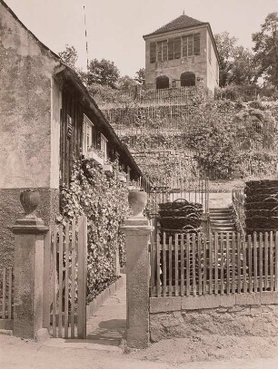 Blick von der Dorfstraße auf das Weiberg- und Gartenhaus im Garten des Schlosses Seußlitz