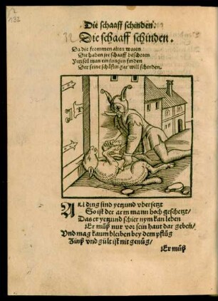Die schaaff schinden.