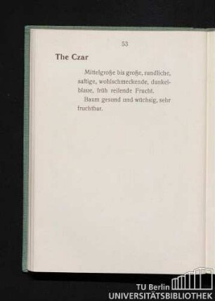 The Czar.