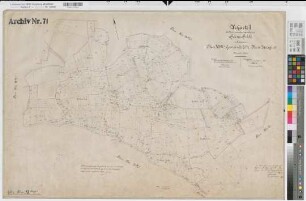 Elte (Rheine), Rheine r.d.Ems (Rheine), Zusammenlegung Heine, Urkarte I Elte Flur11,1