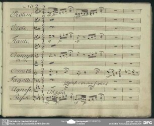Cavatina: "Tutto è in silenzio"