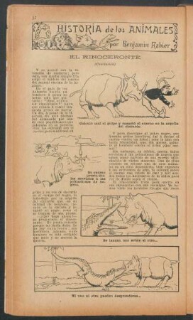 El rinoceronte - (Conclusión) : Historia de los animales