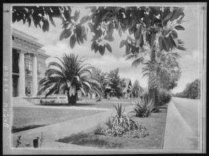 Southern. A Residence Street in Southern California