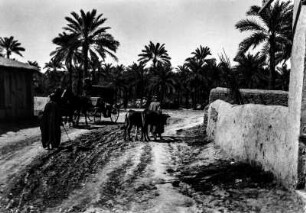 Dorfstraße im Irak (Deutsche Indien-Expedition 1926/1929 - Rückreise: Irak-Syrien-Libanon-Türkei)