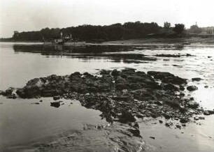Nordsächsische Elbniederung. Klippe (Kieselschieferbreccie, Kulm) bei Niedrigwasser im Elbbett bei Röderau-Promnitz. Blick über die Elbe auf Riesa mit Jahnamündung