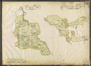 13: Amt Torgau, Amt Mühlberg und Amt Zabeltitz, 1726 : 13 : Ambt Torgau, Amt Mühlberg und Zabeltitz. - [Ca. 1:125 000]. - Dresden, 1726. - 1 Kt. : kol. Federzeichn.