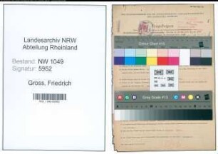 Entnazifizierung Friedrich Gross , geb. 30.03.1890 (Jurist)