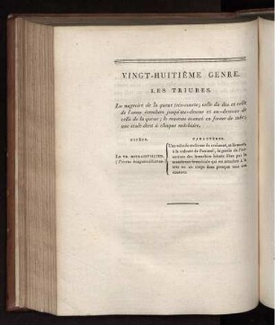 VINGT-HUITIÉME GENRE