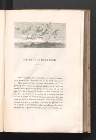 Les Cygnes Sauvages