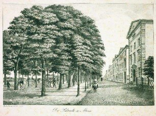 Die Palmaille in Altona
