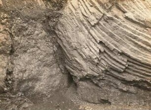 Oberlausitz. Der Eisenberg bei Guttau. Strahlenstellung des Basalts im östlichen Bruch, Mittelstück der Westwand