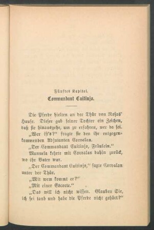 Fünftes Kapitel. - Commandant Cuitinjo.