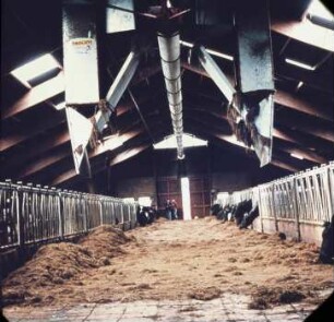 Fotografie: Milchviehhaltung, Futtervorlage, Futtertisch, Silage, Pneumatische Verteilung