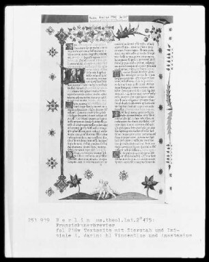 Franziskanisches Brevier — ---, Folio 218versoBuchseite