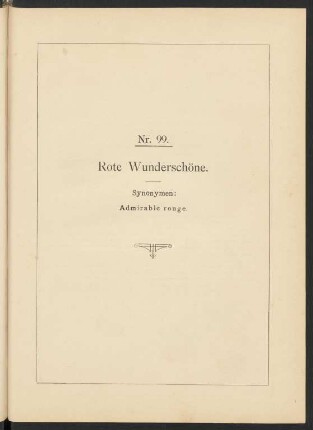 Nr. 99. Rote Wunderschöne