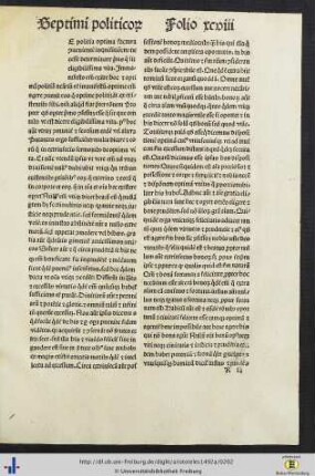 Questiones Septimi Politicorum