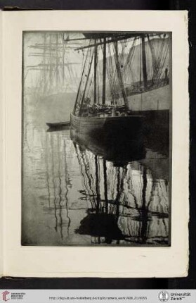 [Alvin Langdon Coburn, XI. Spider-webs, halftone reproduction]