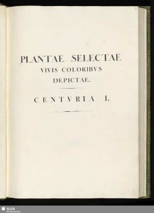 1: Plantae selectae vivis coloribus depictae. Band 1 - Mscr.Dresd.App.3413,Bd.1