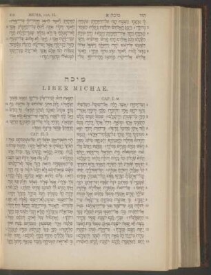 Liber Michae