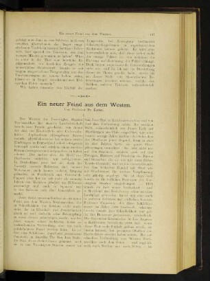 Ein neuer Feind aus dem Westen. I.