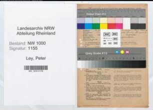 Entnazifizierung Peter Ley, geb. 12.07.1888 (Angest.)