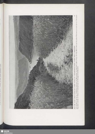Blick Auf Den Kirchturm Von St. Goarshausen Und Die Loreley