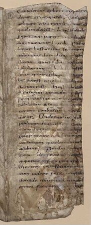 Breviarium in psalmos, Ps 26 und 27 - BSB Clm 29404(3