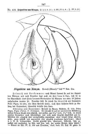 No. 424 - No. 433