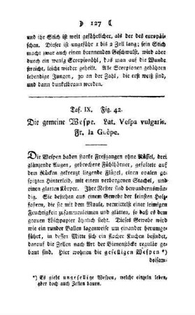 ¬Die¬ gemeine Wespe : Taf. IX, Fig. 42