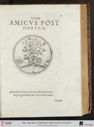 XXXIII. Amicvs post mortem