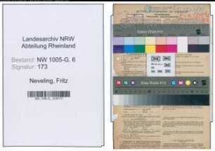 Entnazifizierung Fritz Neveling , geb. 31.08.1904 (Ingenieur)