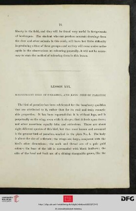 Lesson XVI.