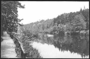 Eger (Böhmen). Partie im Egertal mit dem Egerwald.