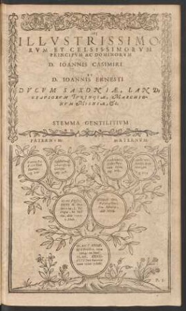 Illustrissimorum Et Celsissimorum Principum Ac Dominorum D. Ioannis Casimiri Et D. Ioannis Ernesti ...