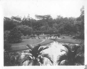 Botanischer Garten : Buitenzorg (Bogor) (Java/Indonesien). Botanischer Garten (1817; K. G. K. Reinwardt). Blick von erhöhtem Standort auf Lotusteich mit Touristen der Hapag auf einem Steg