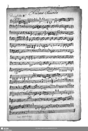 Violino secundo