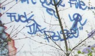 "FucK DA PoLice"