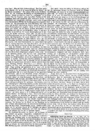 Pädagogische Briefe aus Amerika